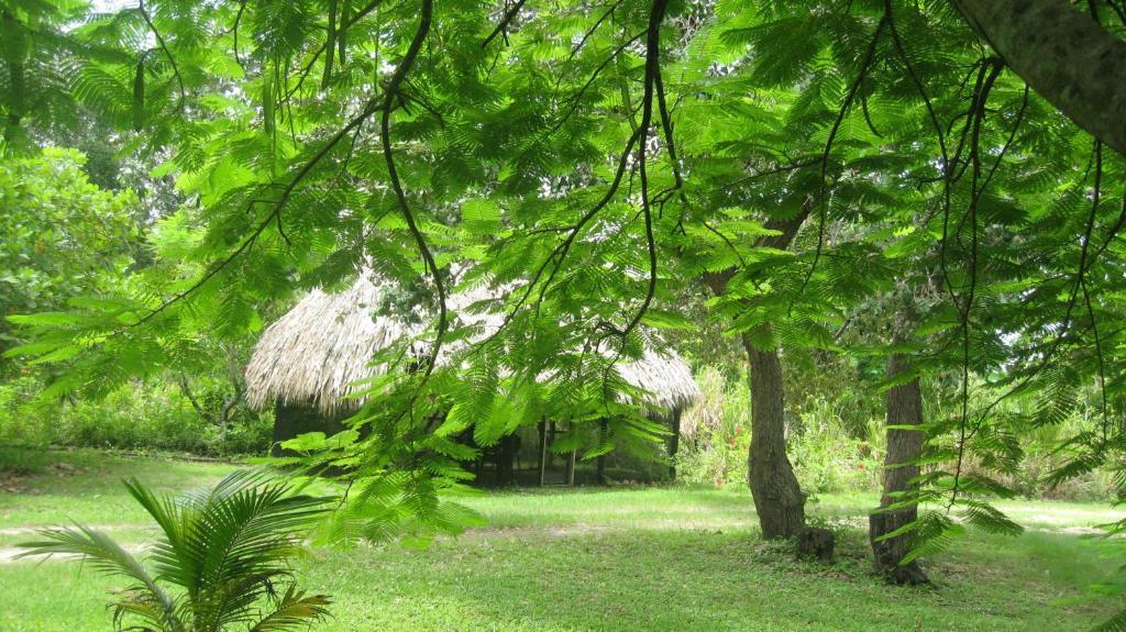 בליז סיטי Orchid Garden Eco-Village Hotel Belize מראה חיצוני תמונה